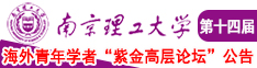 大鸡巴插入视频小穴在线观看南京理工大学第十四届海外青年学者紫金论坛诚邀海内外英才！